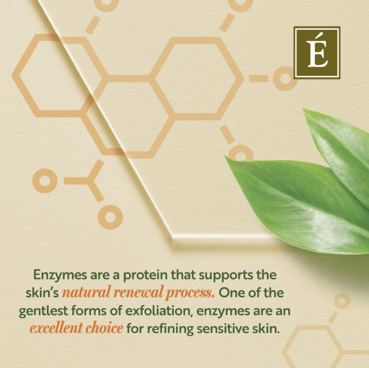 Barbados Cherry Enzyme Cleansing Powder - Image 4