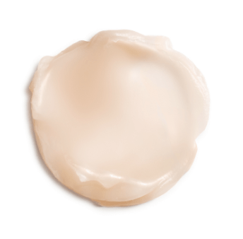 Camellia Glow Solid Face Oil - Image 2